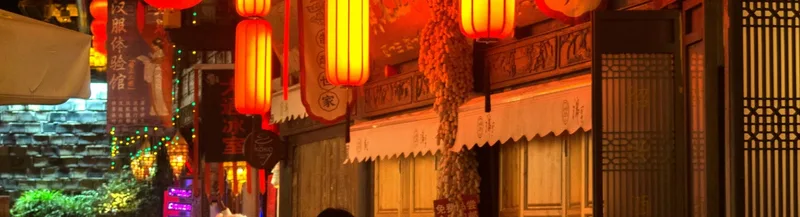 China Travel Logistics