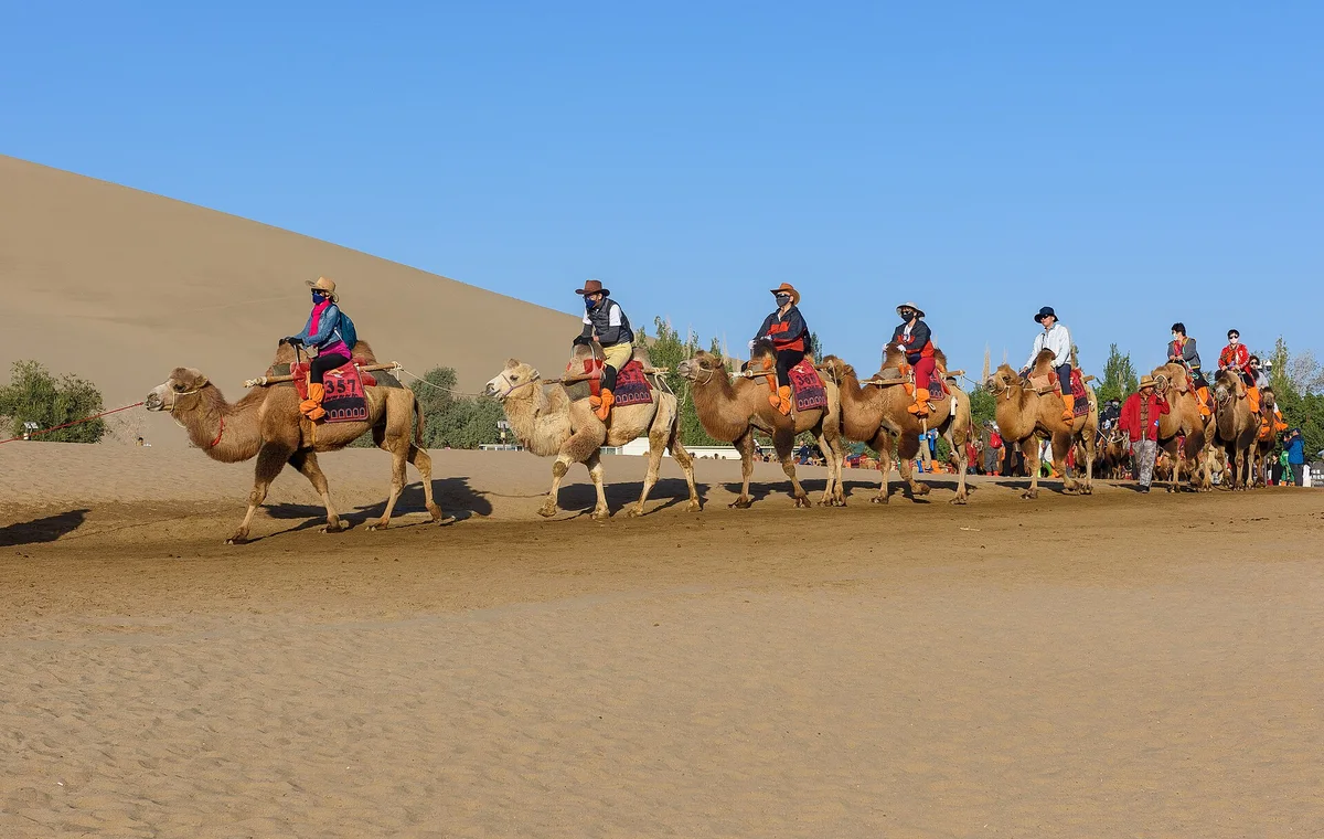 Travelers on camels at the Singing Sand Dunes near Dunhuang