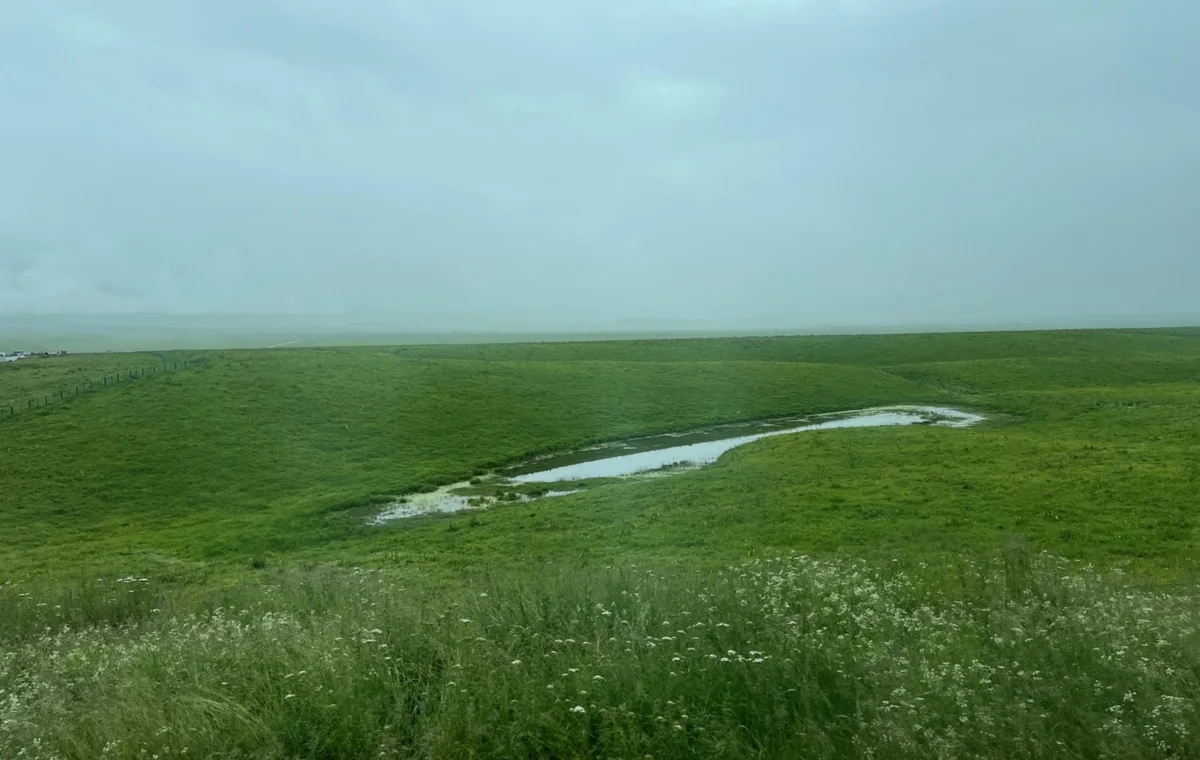 Open grassland and water channels in Nalati