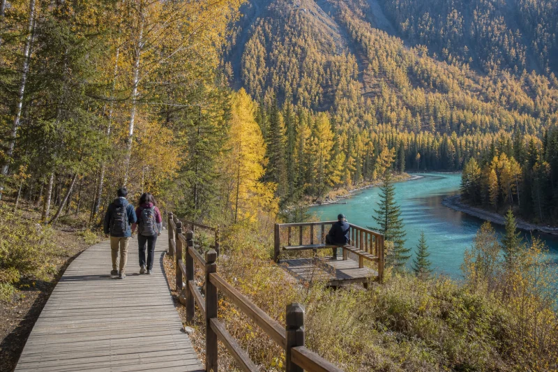 Travelers on a forest boardwalk beside the Kanas river