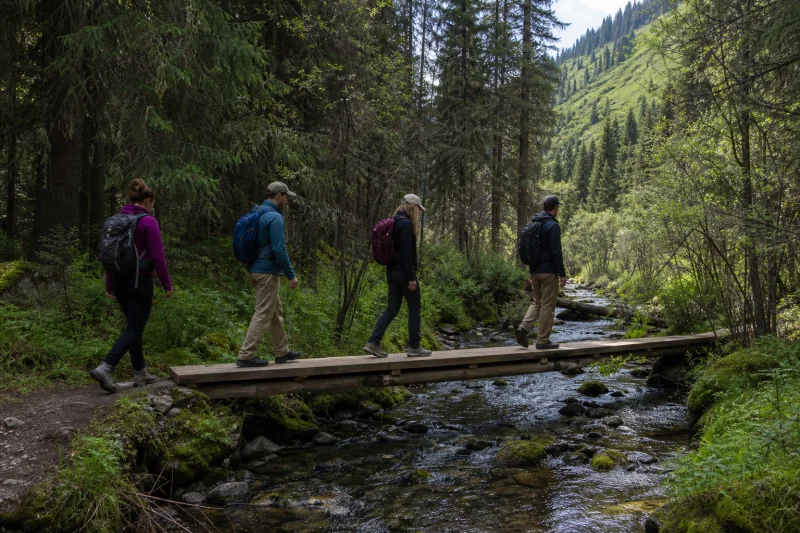 Travelers crossing a forest stream in Kurdining Valley