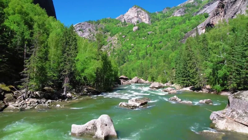Forest river in the Ili Valley