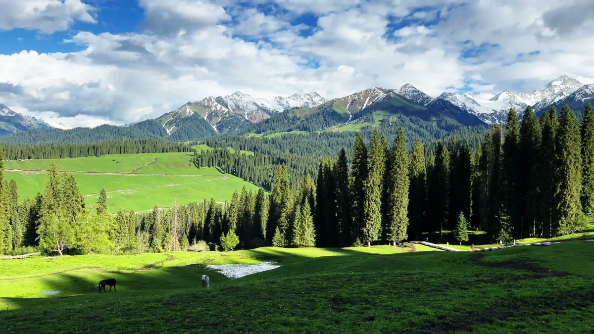 Yining 5-Day Small Group Tour: Kurdining, Nalati and Sayram Lake