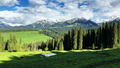 Yining 5-Day Small Group Tour: Kurdining, Nalati and Sayram Lake
