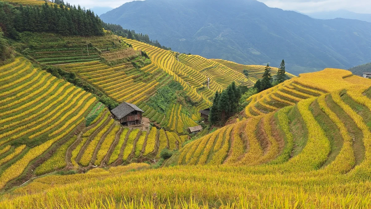 Longji Rice Terraces: Ping'an or Dazhai for a First Visit?